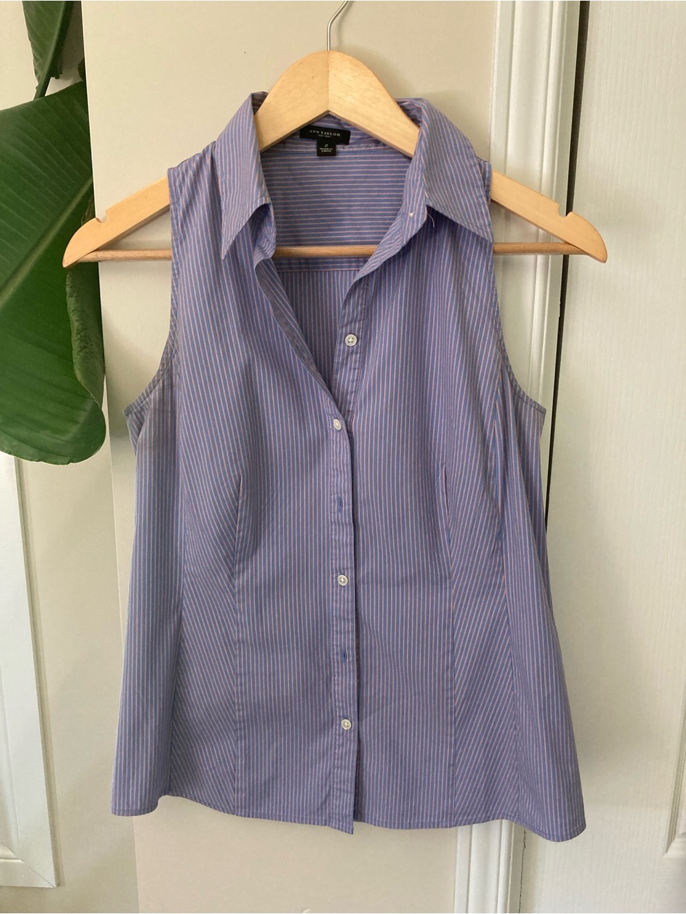 Ann Taylor Sleeveless Button-Down Shirt — Blue Stripe